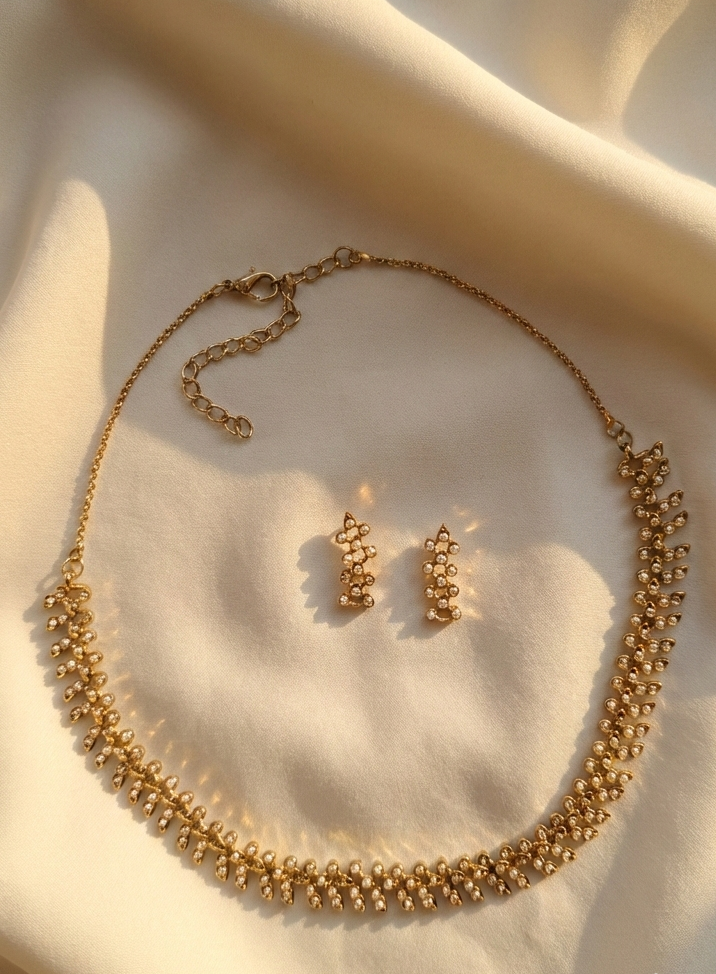 Rajwada Shimmer Set